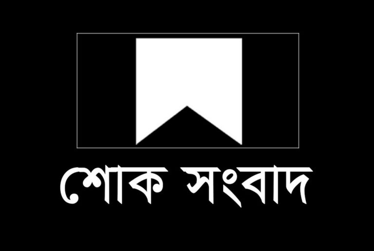 সাংবাদিক বশির আহমেদ কাজলের মায়ের ইন্তেকাল